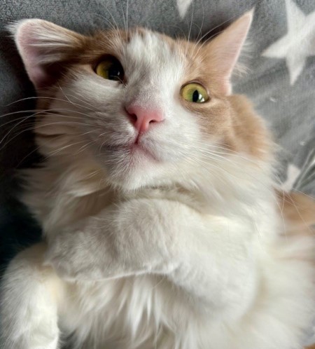 thumbnail_IMG_3950 (1)