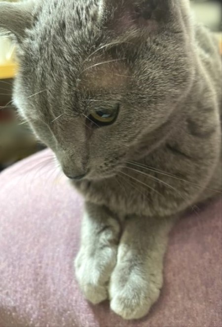 thumbnail_IMG_2092