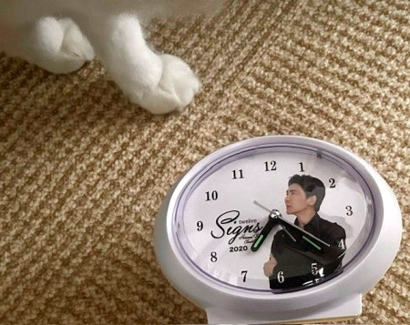 thumbnail_IMG_0433 (1)