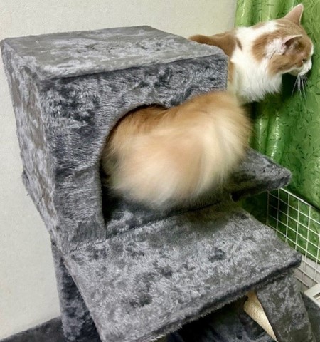 thumbnail_IMG_3250 (2)