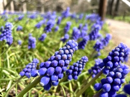 thumbnail_IMG_9454