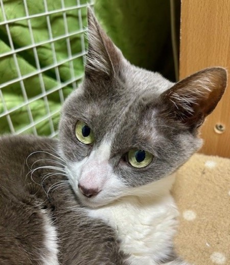 thumbnail_IMG_5334 (1)