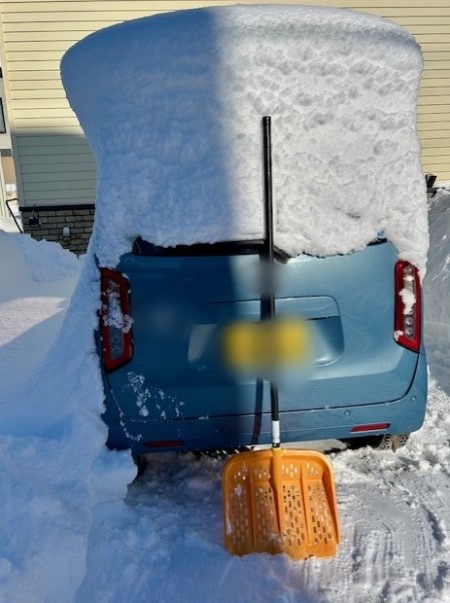 8eae6b28-c19c-46f7-9e62-949186cec089