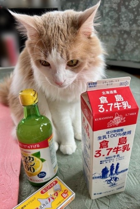 thumbnail_IMG_5298