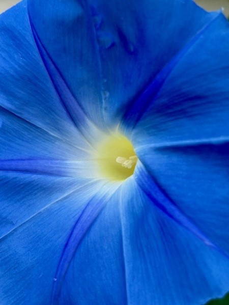 thumbnail_IMG_0288 (1)