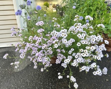 thumbnail_IMG_8260 (1)