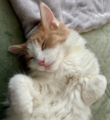 thumbnail_IMG_2505 (1)