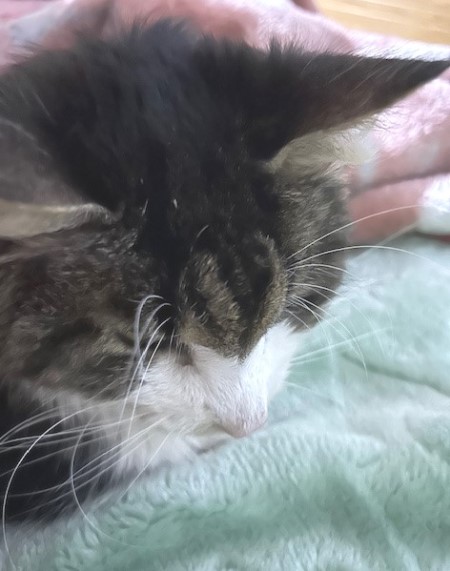 thumbnail_IMG_4736 (1)