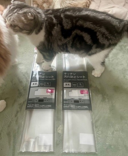 thumbnail_IMG_5654 (2)