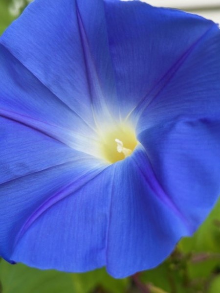 thumbnail_IMG_2522 (1)