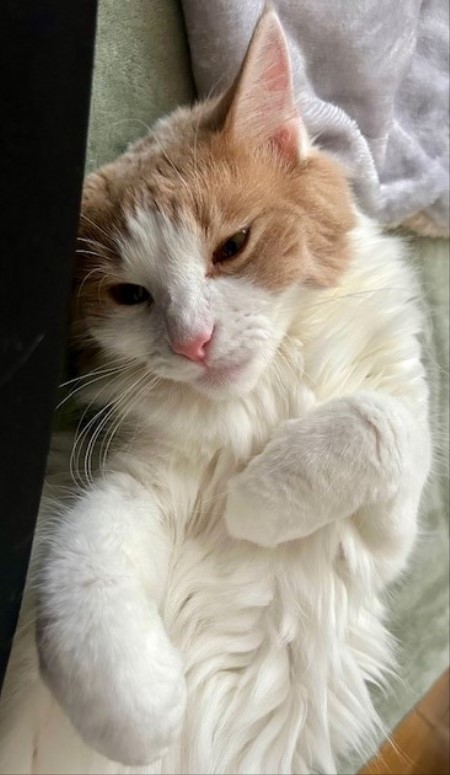 thumbnail_IMG_2509 (1)