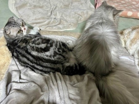 280e4854-2ad0-4e07-8ffe-5d1296f24253