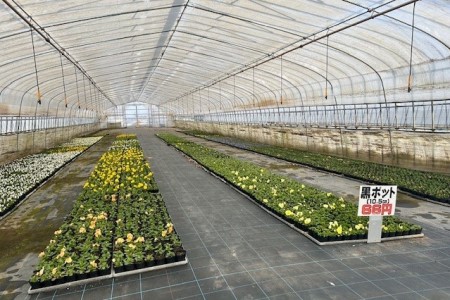 thumbnail_IMG_4167 (1)