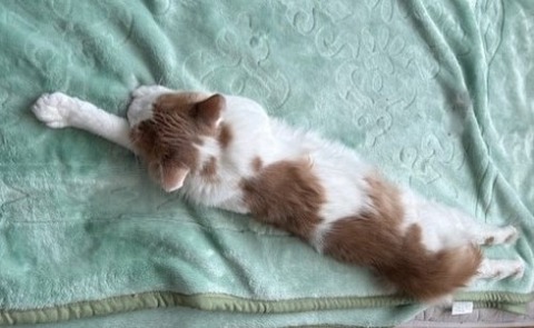 thumbnail_IMG_7461 (1)