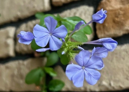 thumbnail_IMG_8603 (1)