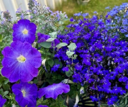 thumbnail_IMG_8709 (1)