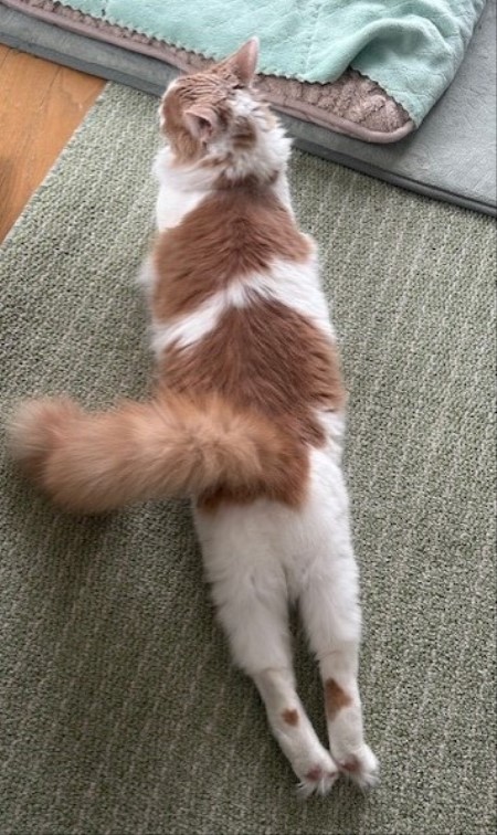 thumbnail_IMG_5565 (1)