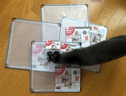ダイソー商品で猫の冬用品を作ってみました 猫だらけ Powered By ライブドアブログ