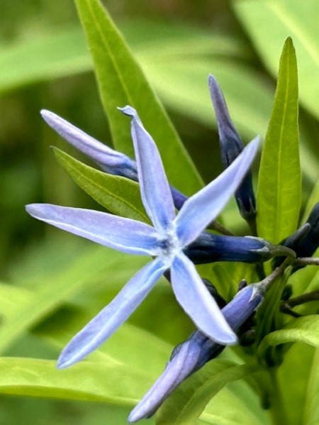thumbnail_IMG_0851 (1)