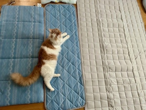 thumbnail_IMG_9332 (1)