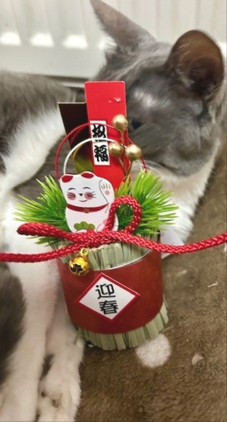 thumbnail_IMG_6101 (1)