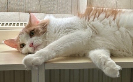 thumbnail_IMG_1983 (1)