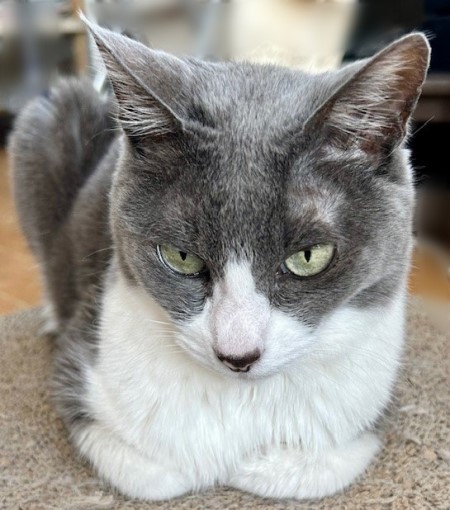 be738a90-fe11-4f69-85ac-da4a637ba1b8