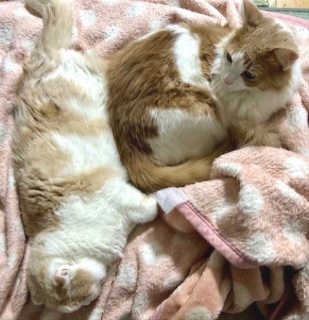 thumbnail_IMG_6187 (1)_1