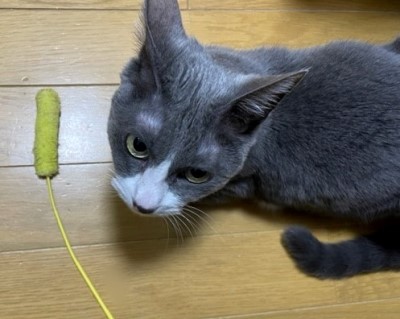 345