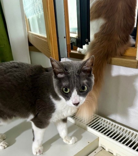 thumbnail_IMG_3258 (1)