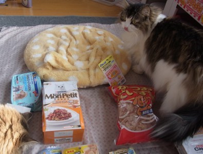 「猫だらけ」
