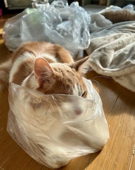 thumbnail_IMG_0519 (2)