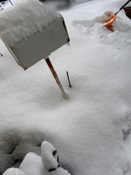 thumbnail_IMG_6367 (1)