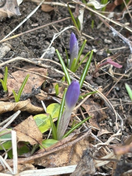 7e30fb0e-f880-4b06-b25f-2efebac7d625