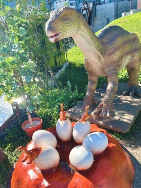 thumbnail_IMG_0732 (1)