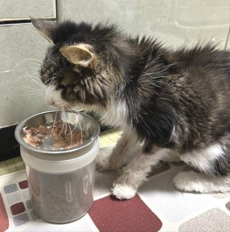 thumbnail_IMG_7941 (1)