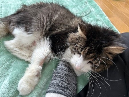 thumbnail_IMG_2890 (1)