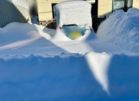 03b2a754-2e3e-456a-9a4e-4d0bc08ed520