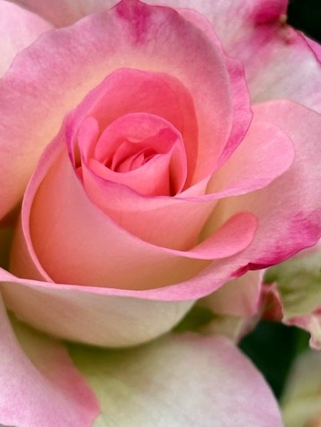 thumbnail_IMG_1539 (2)