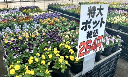 thumbnail_IMG_4155