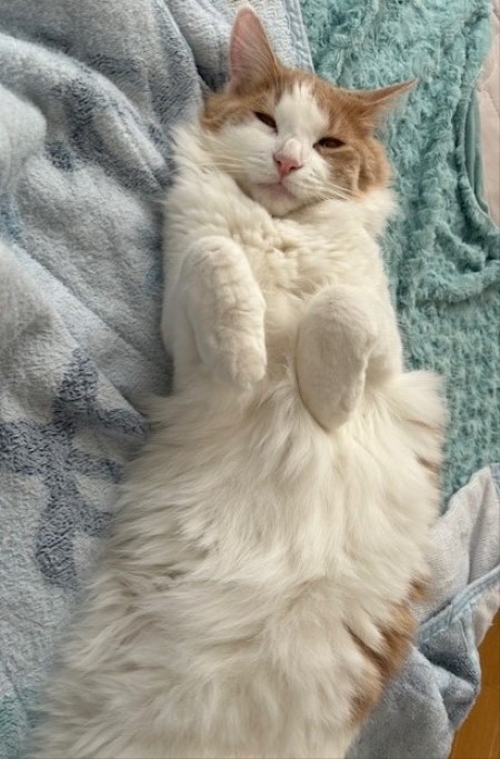 thumbnail_IMG_1579 (1)