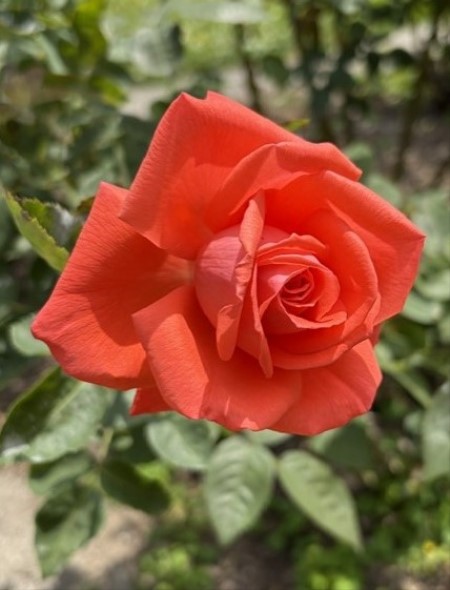 aa18f4c4-d350-4c83-87d5-95963cbcc4b8