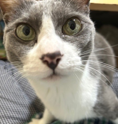 thumbnail_IMG_1175 (1)