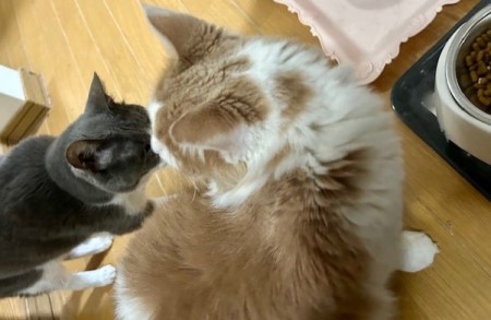 thumbnail_IMG_5239 (1)