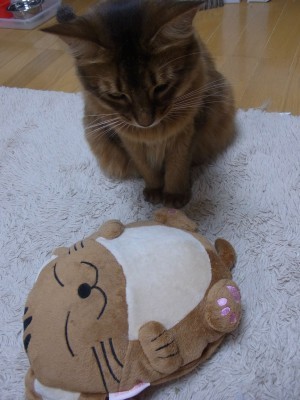 「猫だらけ」