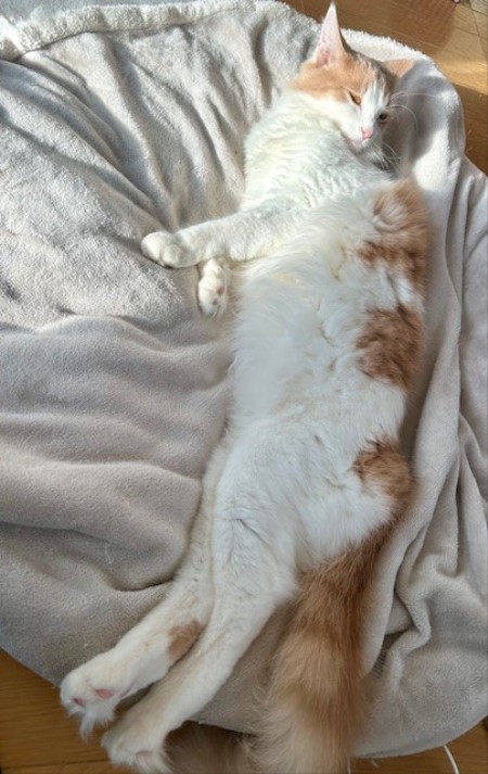 thumbnail_IMG_8764 (2)