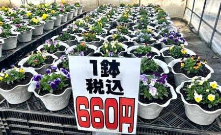 thumbnail_IMG_4151