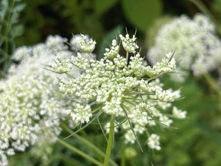 thumbnail_IMG_5593