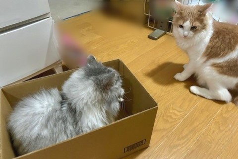 thumbnail_IMG_0669 (1)