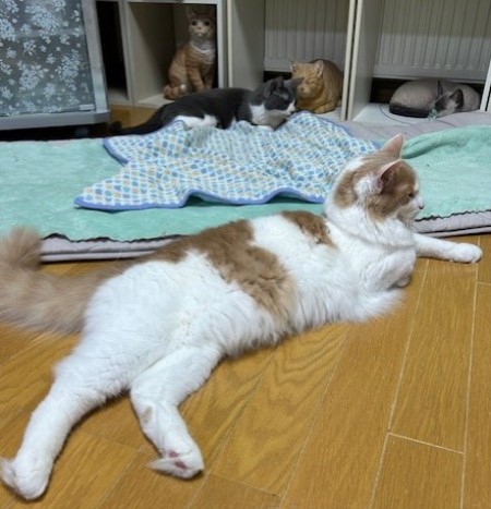 thumbnail_IMG_5310 (1)